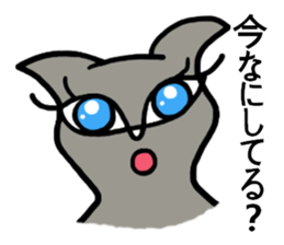 She is a celeb cat. sticker #2775334