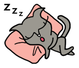 She is a celeb cat. sticker #2775337