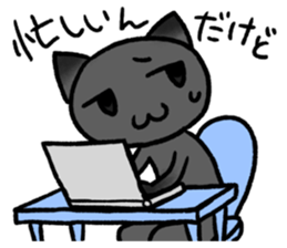 Confessions cat sticker #2776280