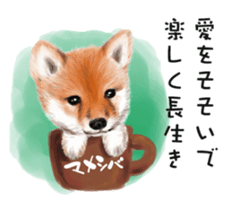 Dog and cat bite message sticker #2776716