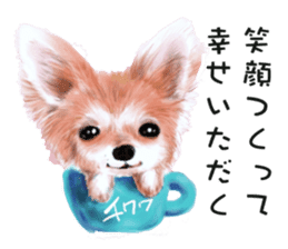 Dog and cat bite message sticker #2776717