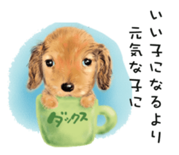 Dog and cat bite message sticker #2776718