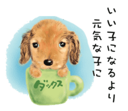 Dog and cat bite message sticker #2776718