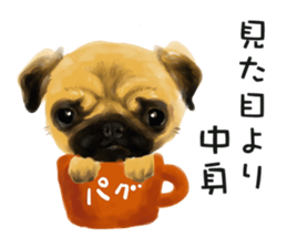 Dog and cat bite message sticker #2776720