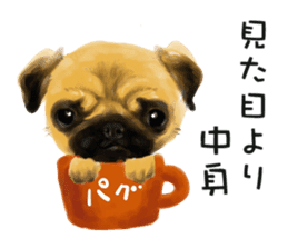 Dog and cat bite message sticker #2776720