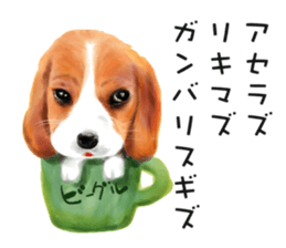 Dog and cat bite message sticker #2776723