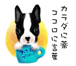 Dog and cat bite message sticker #2776724