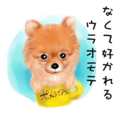 Dog and cat bite message sticker #2776725