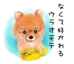 Dog and cat bite message sticker #2776725