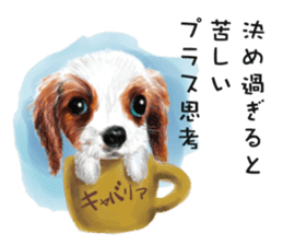 Dog and cat bite message sticker #2776727