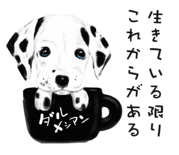 Dog and cat bite message sticker #2776728