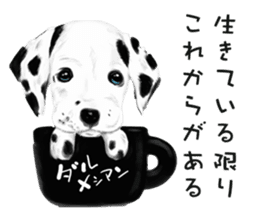 Dog and cat bite message sticker #2776728