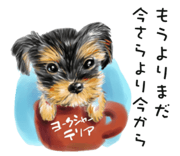 Dog and cat bite message sticker #2776734