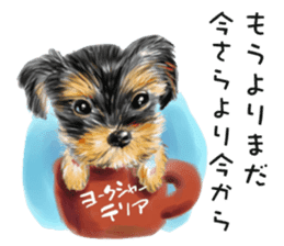 Dog and cat bite message sticker #2776734