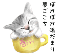 Dog and cat bite message sticker #2776744