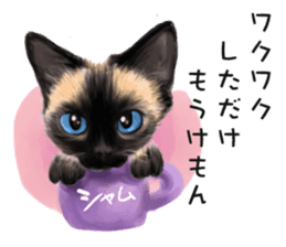 Dog and cat bite message sticker #2776747