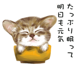 Dog and cat bite message sticker #2776753