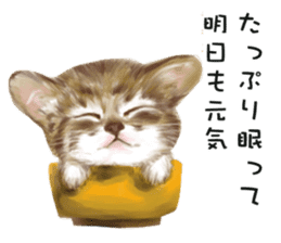 Dog and cat bite message sticker #2776753