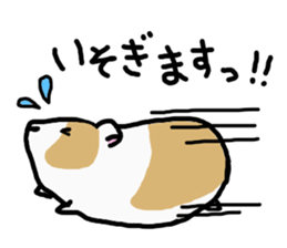 Animals of loose zoo sticker #2776989