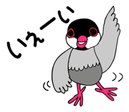 Bird TyunTyun sticker #2779435