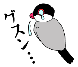 Bird TyunTyun sticker #2779436