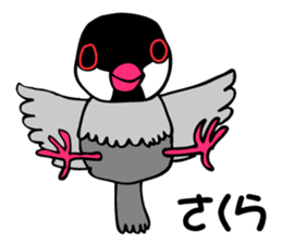 Bird TyunTyun sticker #2779438