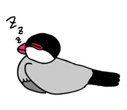 Bird TyunTyun sticker #2779439
