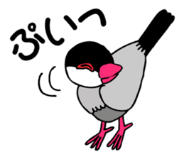 Bird TyunTyun sticker #2779444