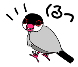 Bird TyunTyun sticker #2779450
