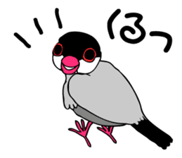 Bird TyunTyun sticker #2779450