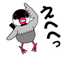 Bird TyunTyun sticker #2779457