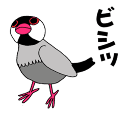 Bird TyunTyun sticker #2779460