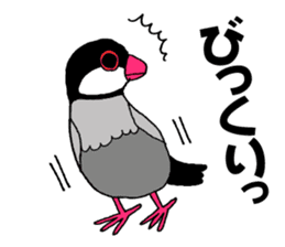 Bird TyunTyun sticker #2779462