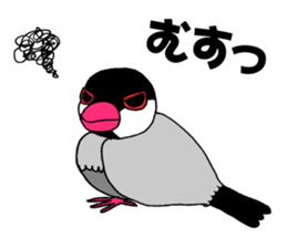 Bird TyunTyun sticker #2779463