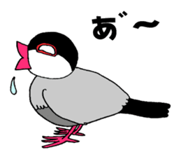 Bird TyunTyun sticker #2779468