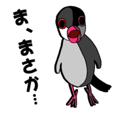 Bird TyunTyun sticker #2779469