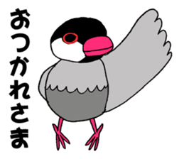 Bird TyunTyun sticker #2779472