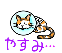 What is it? sticker #2780074