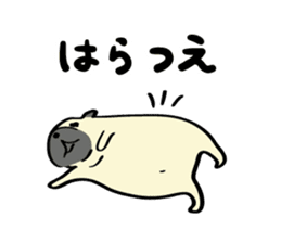Akita dialects Sticker of pug sticker #2780788