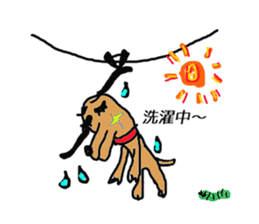 Kiraly dog sticker #2780805