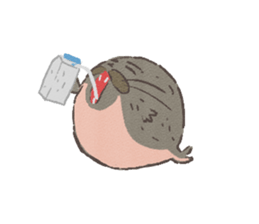 Pan : the fat seal sticker #2781992