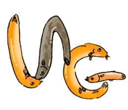 Golden Dojo Loach Sticker sticker #2782845