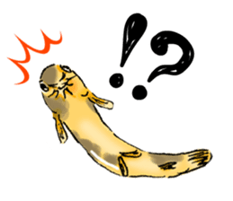 Golden Dojo Loach Sticker sticker #2782849