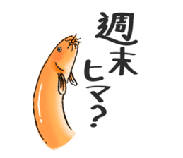 Golden Dojo Loach Sticker sticker #2782850