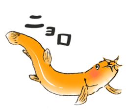 Golden Dojo Loach Sticker sticker #2782851