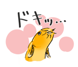 Golden Dojo Loach Sticker sticker #2782855