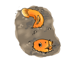 Golden Dojo Loach Sticker sticker #2782859