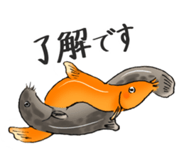 Golden Dojo Loach Sticker sticker #2782862