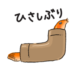 Golden Dojo Loach Sticker sticker #2782868