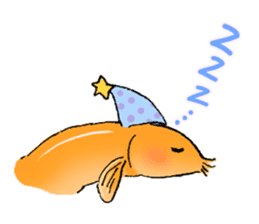 Golden Dojo Loach Sticker sticker #2782873